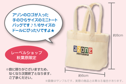 akb_1st_minibag2