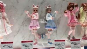 wf_repo011
