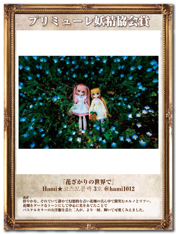 プリミューレ妖精協会賞08