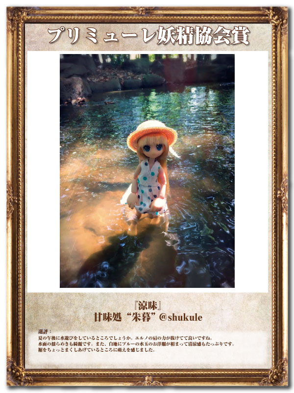 プリミューレ妖精協会賞10